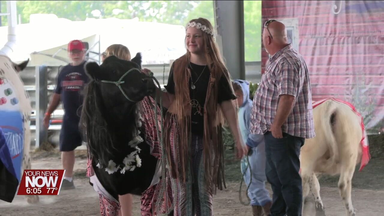 Best Dressed Bovine Contest at Allen County Fair puts a fun spin on showmanship